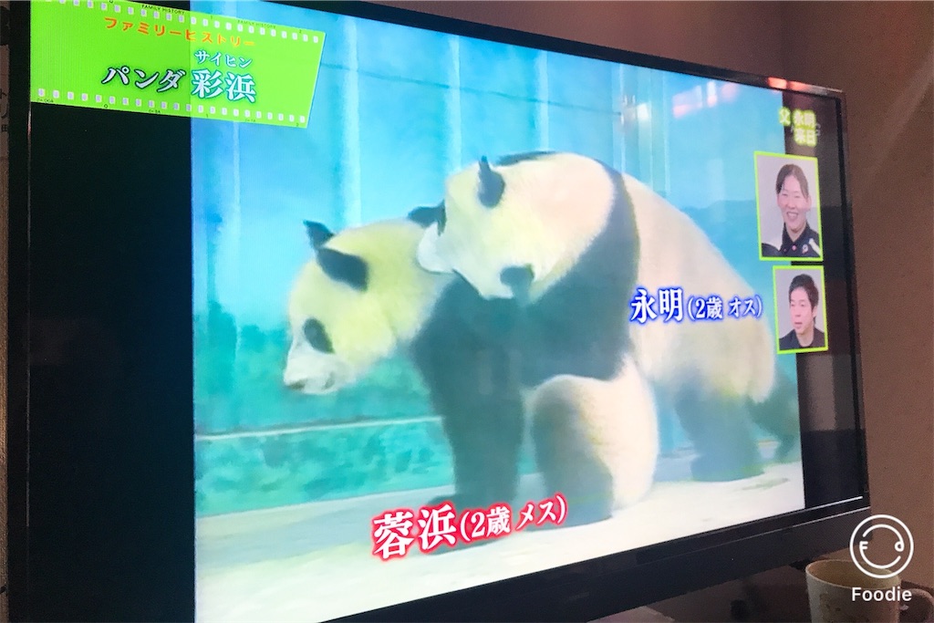 f:id:coden:20200121125622j:plain