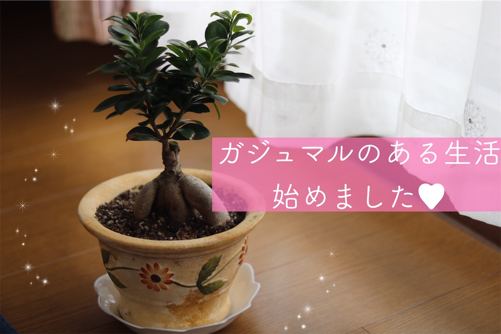 f:id:coden:20200204072953j:plain