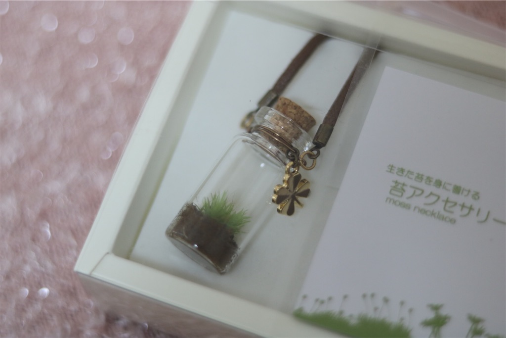 f:id:coden:20200204073007j:plain