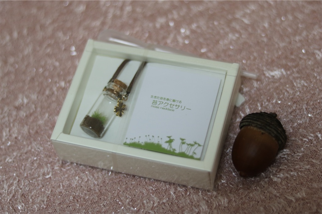 f:id:coden:20200204073010j:plain