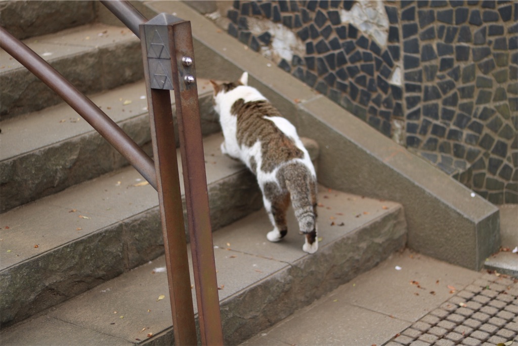 f:id:coden:20200408145141j:image