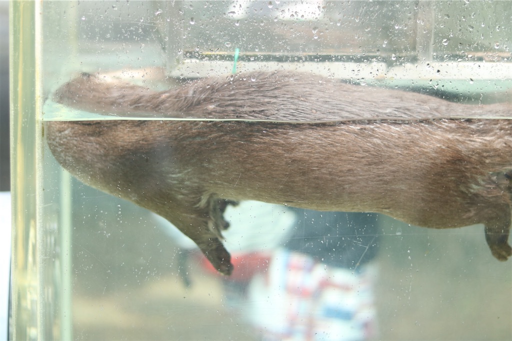 f:id:coden:20200702201210j:image