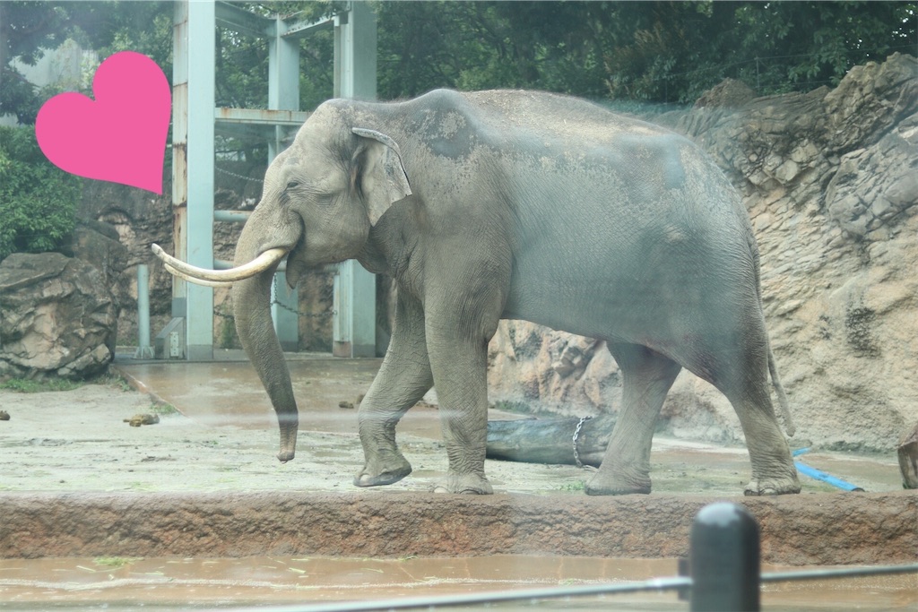 f:id:coden:20200702201227j:image