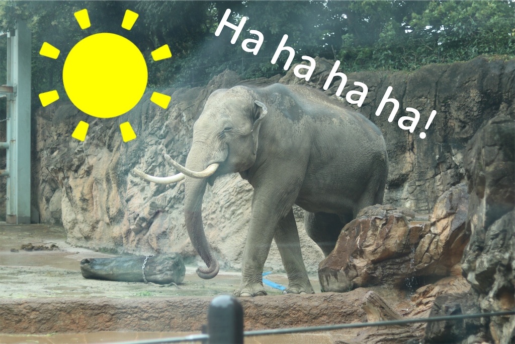 f:id:coden:20200702201230j:image