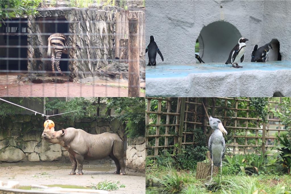 f:id:coden:20200702201237j:image