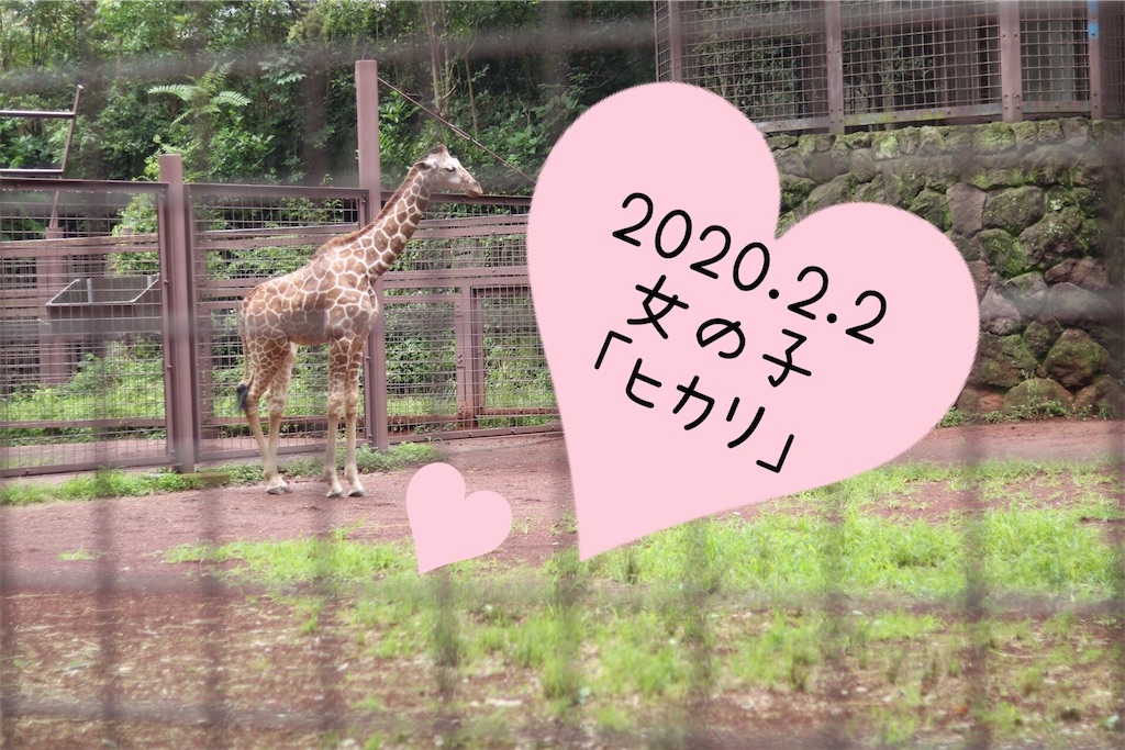 f:id:coden:20200702201326j:image