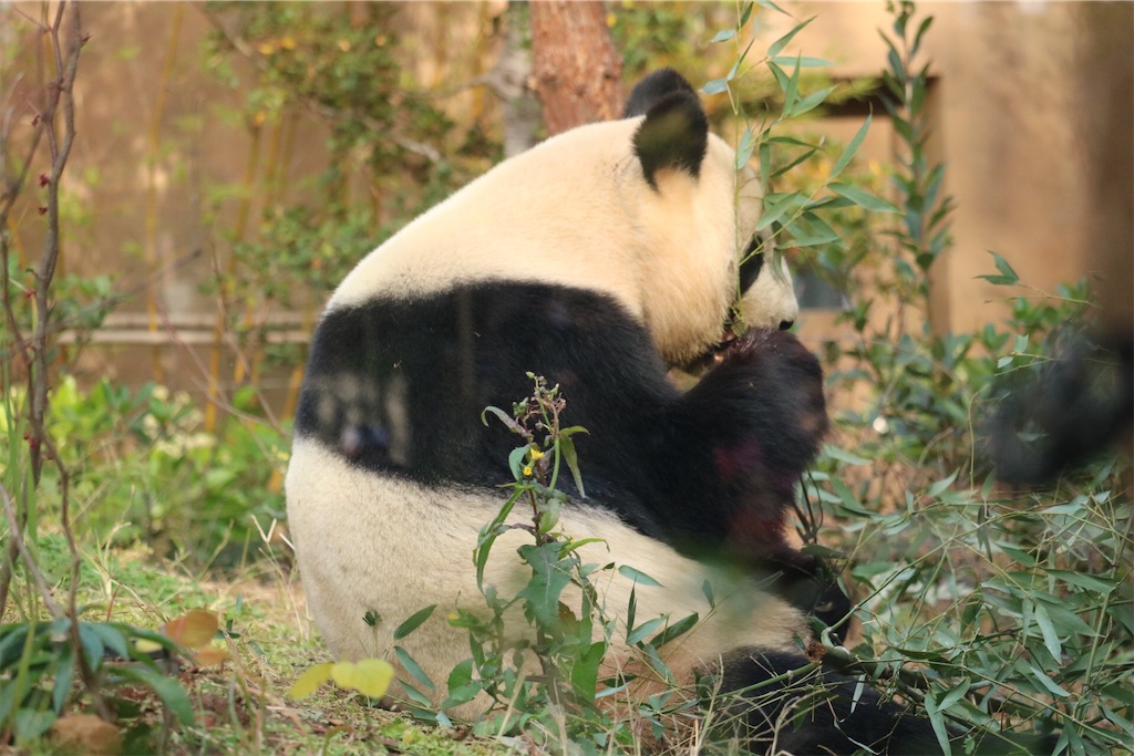 f:id:coden:20201216192247j:image