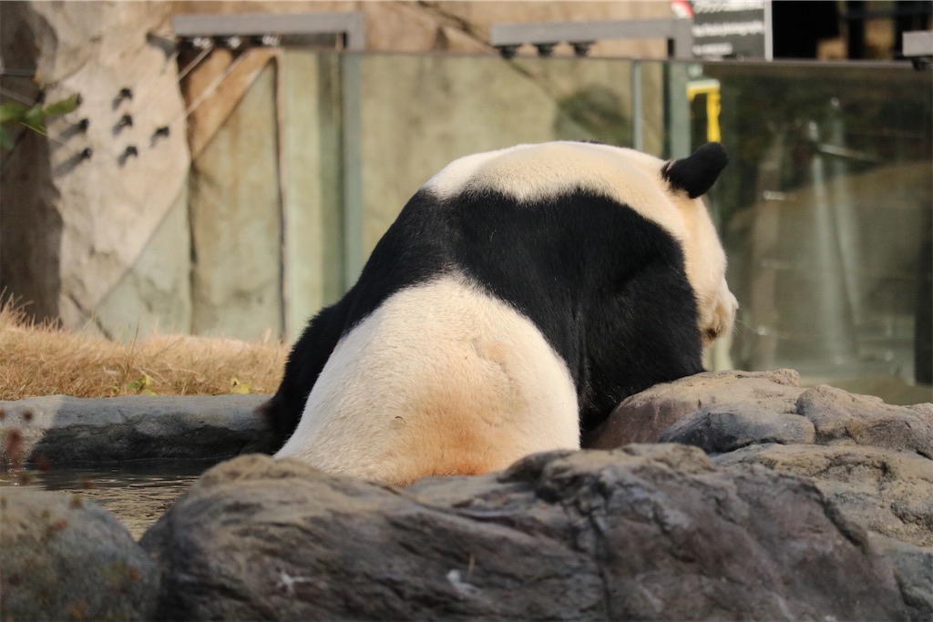 f:id:coden:20201216192301j:image