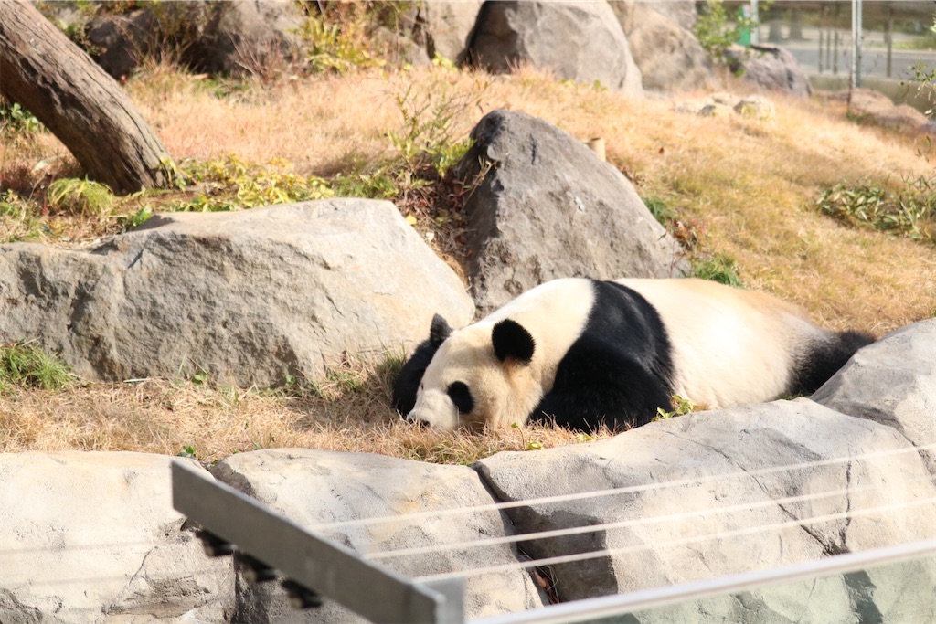 f:id:coden:20201216192319j:image