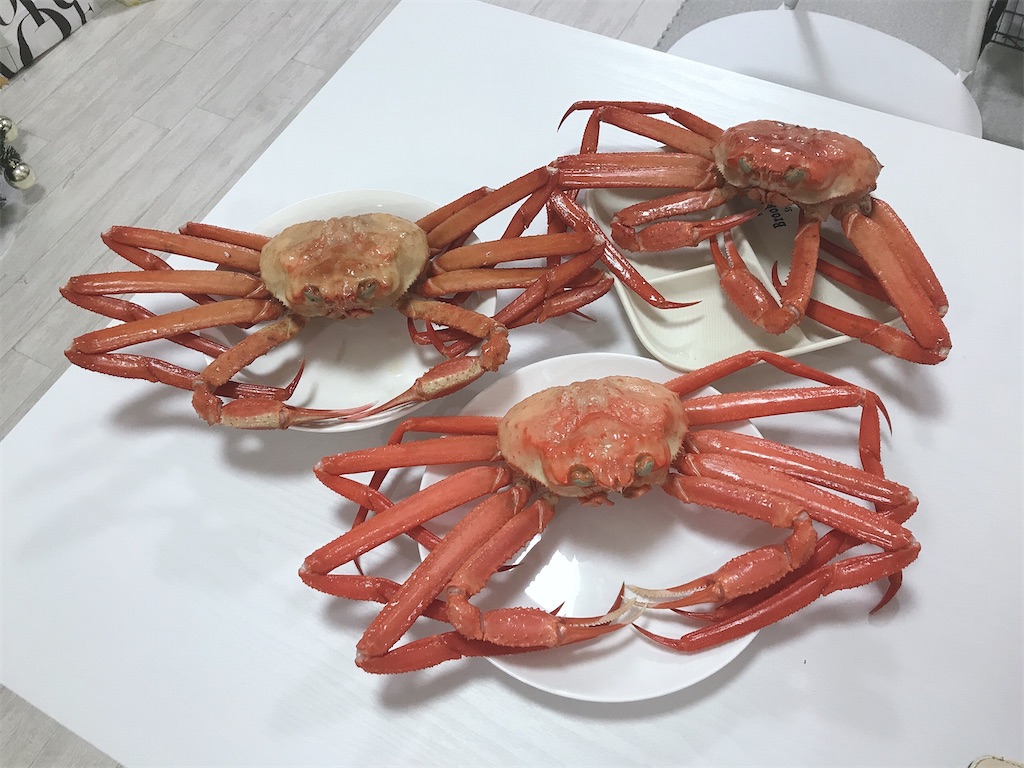 f:id:coden:20201222074146j:image f:id:coden:20201222074146j:image