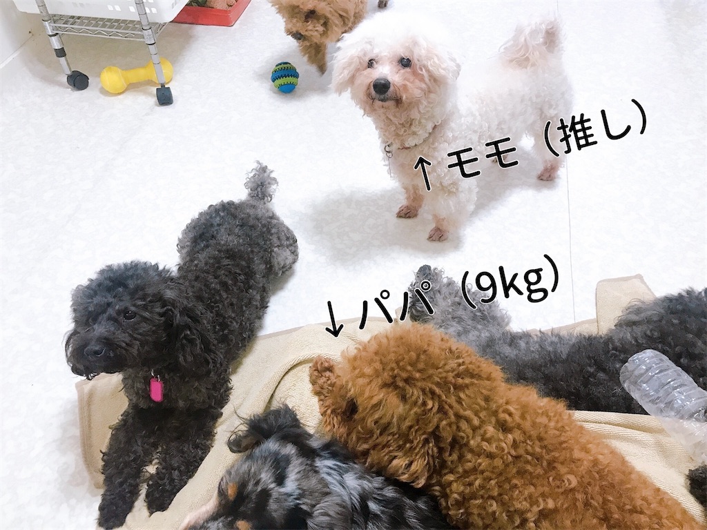 f:id:coden:20210414092251j:image