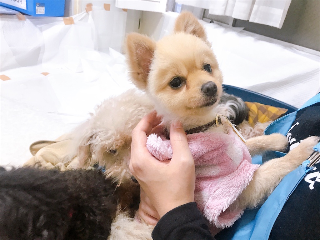 f:id:coden:20210414092255j:image