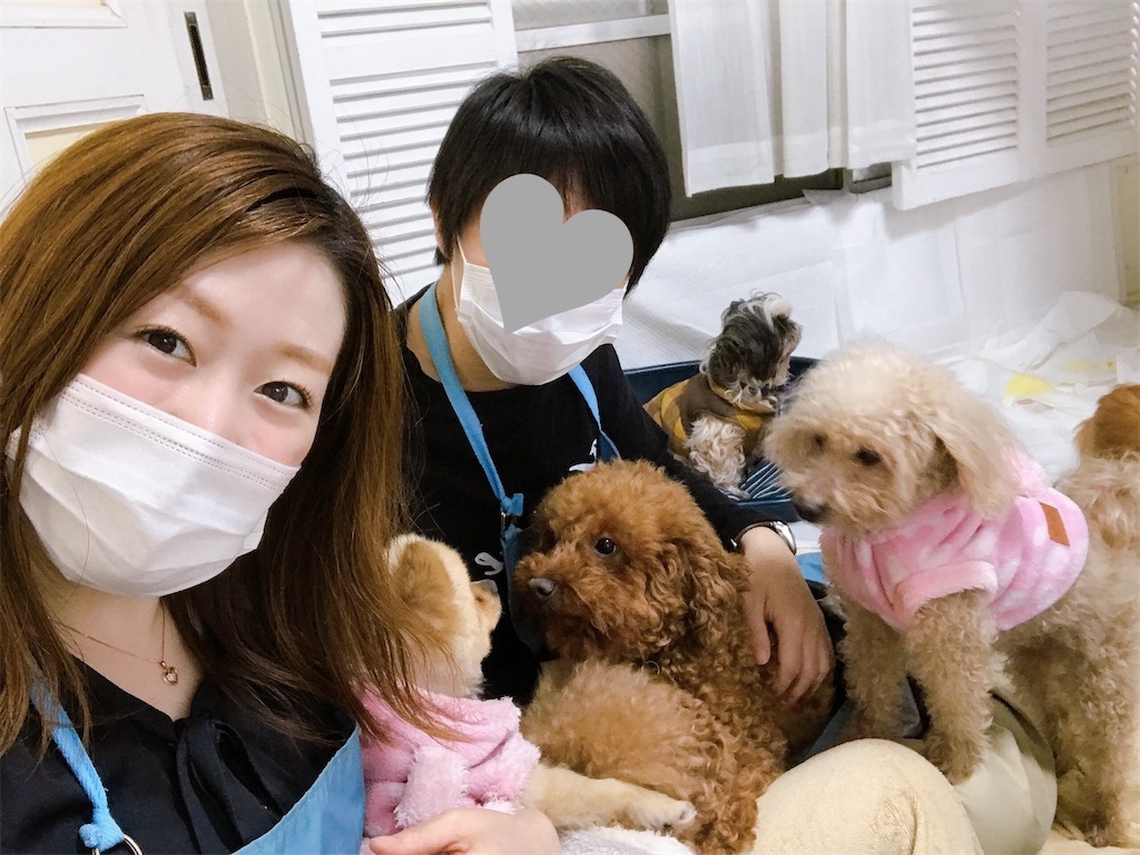 f:id:coden:20210414092259j:image