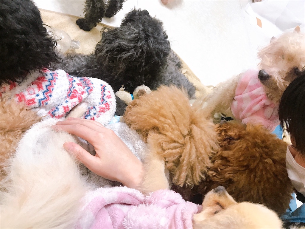 f:id:coden:20210414092303j:image