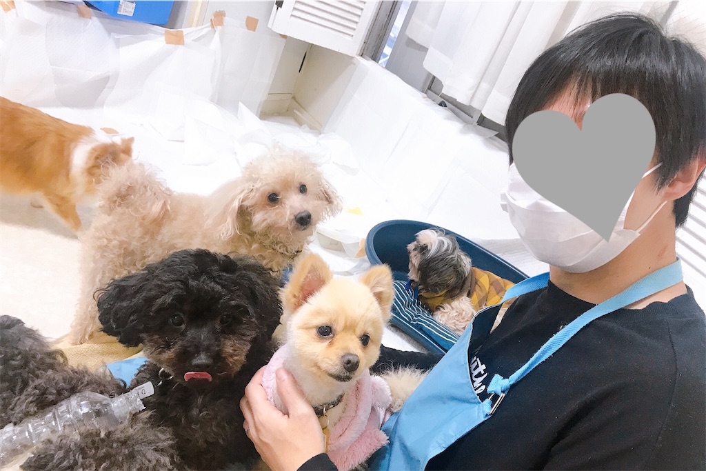 f:id:coden:20210414092306j:image