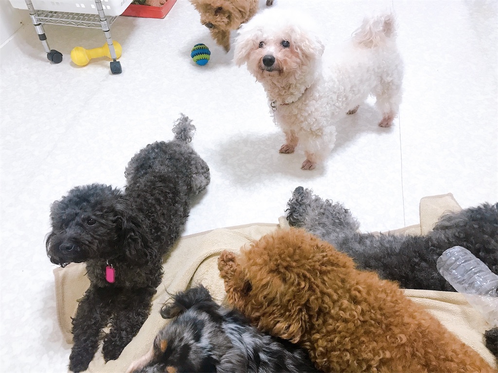 f:id:coden:20210414092309j:image