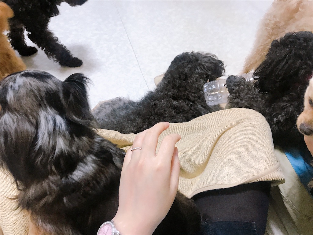 f:id:coden:20210414092312j:image