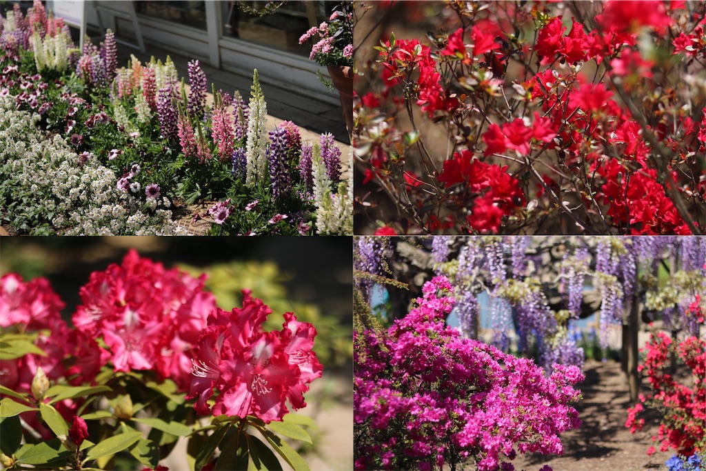 f:id:coden:20210425064240j:image f:id:coden:20210425064240j:image