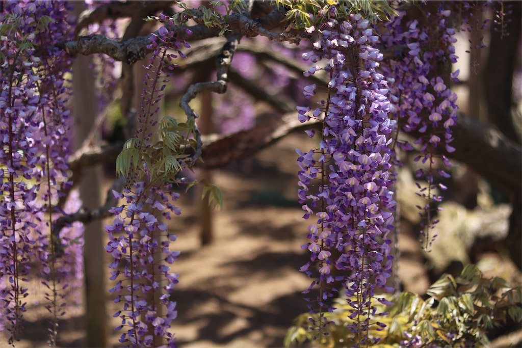 f:id:coden:20210425064346j:image f:id:coden:20210425064346j:image