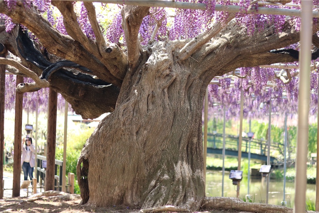 f:id:coden:20210425064355j:image f:id:coden:20210425064355j:image