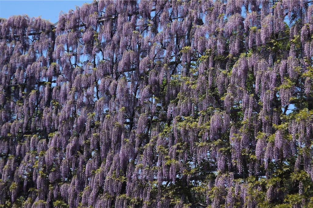 f:id:coden:20210425064401j:image f:id:coden:20210425064401j:image