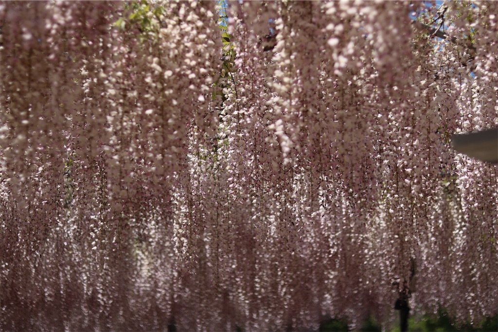 f:id:coden:20210425064408j:image f:id:coden:20210425064408j:image