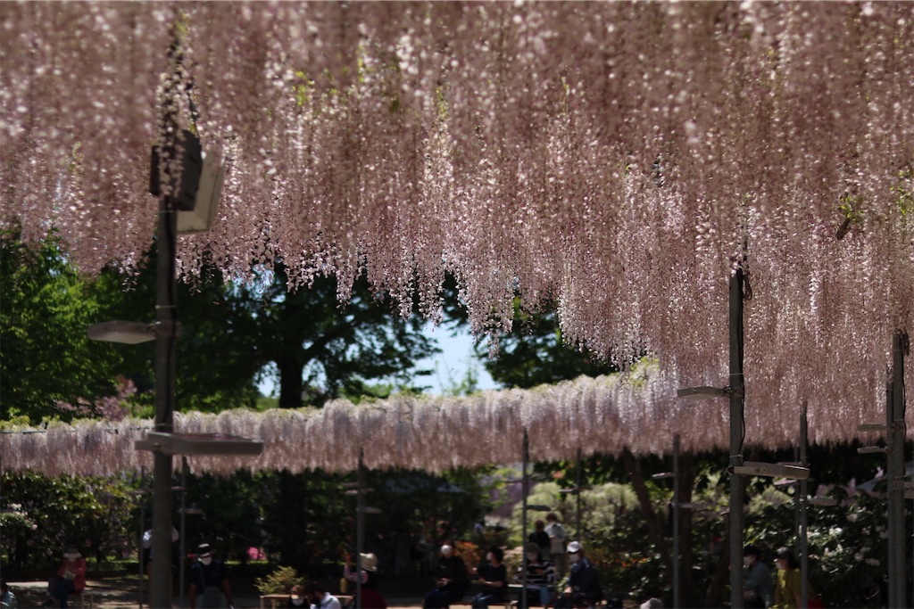 f:id:coden:20210425064423j:image f:id:coden:20210425064423j:image