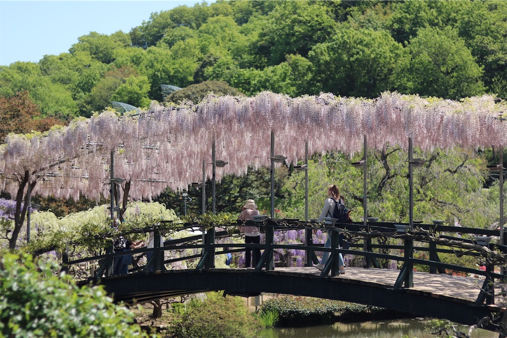 f:id:coden:20210425064426j:image f:id:coden:20210425064426j:image