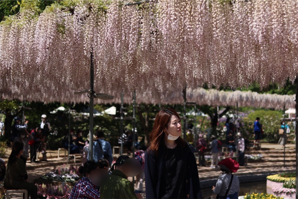 f:id:coden:20210425064626j:image f:id:coden:20210425064626j:image