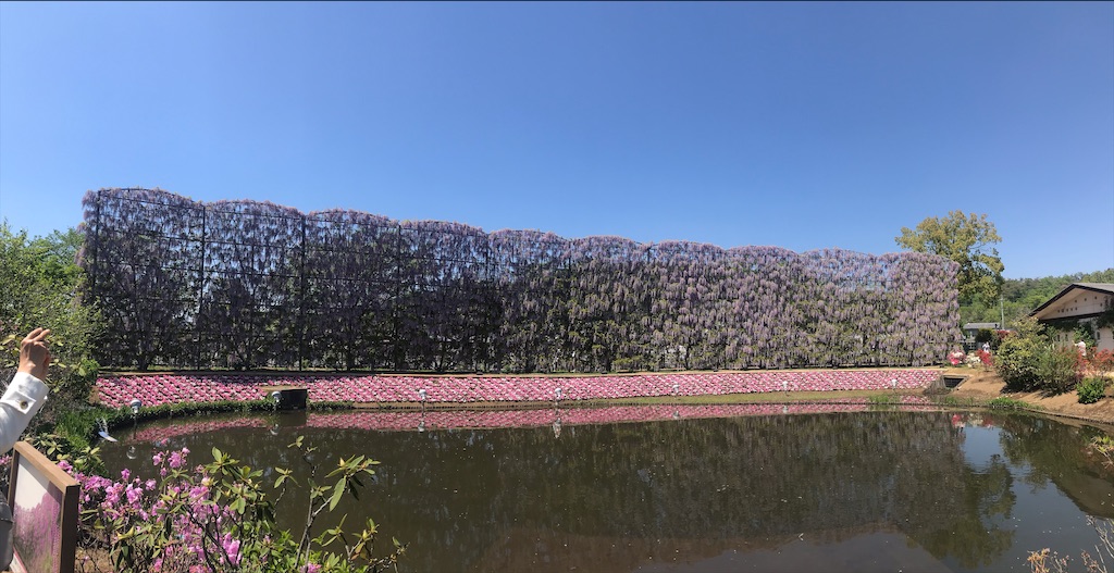 f:id:coden:20210428161352j:image f:id:coden:20210428161352j:image