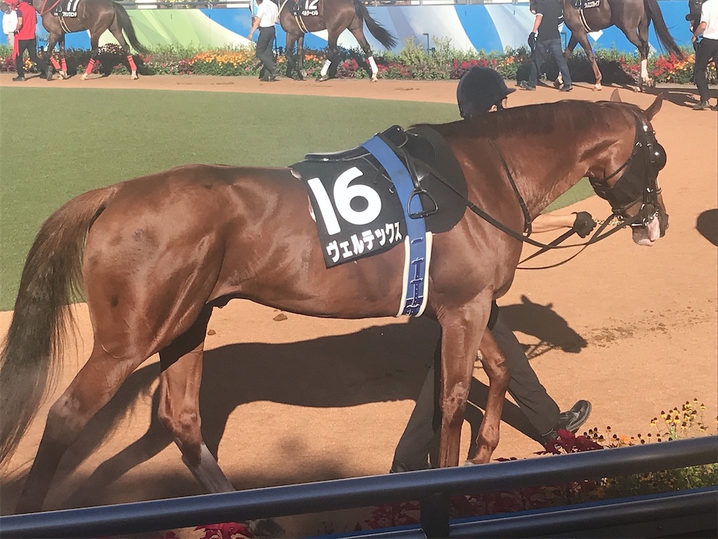 f:id:coden:20210919184135j:image f:id:coden:20210919184135j:image