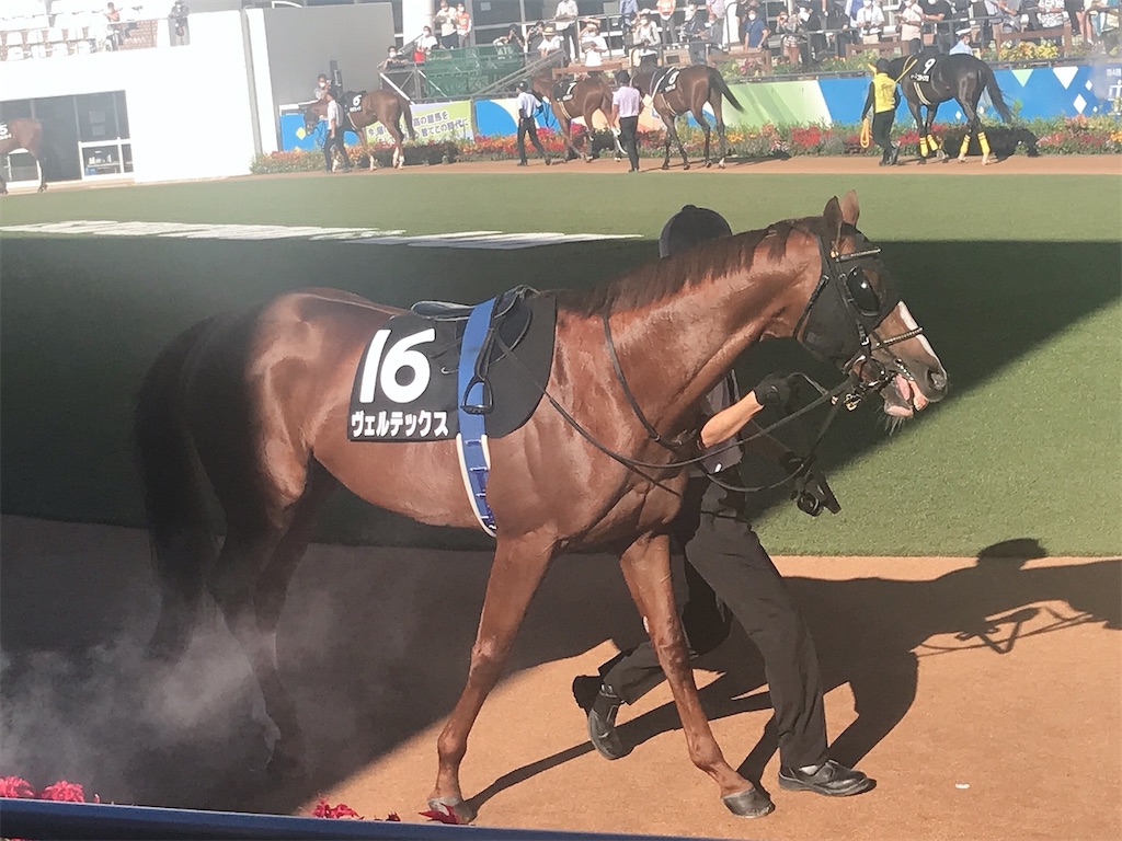 f:id:coden:20210919184153j:image f:id:coden:20210919184153j:image