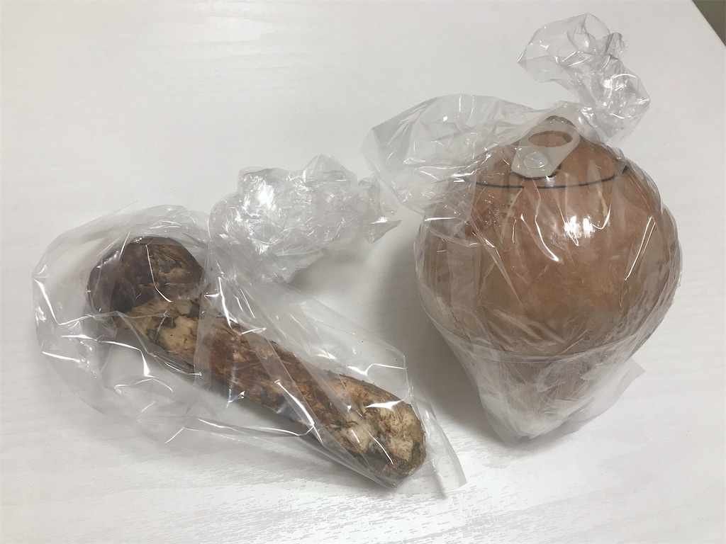 f:id:coden:20210926152031j:plain