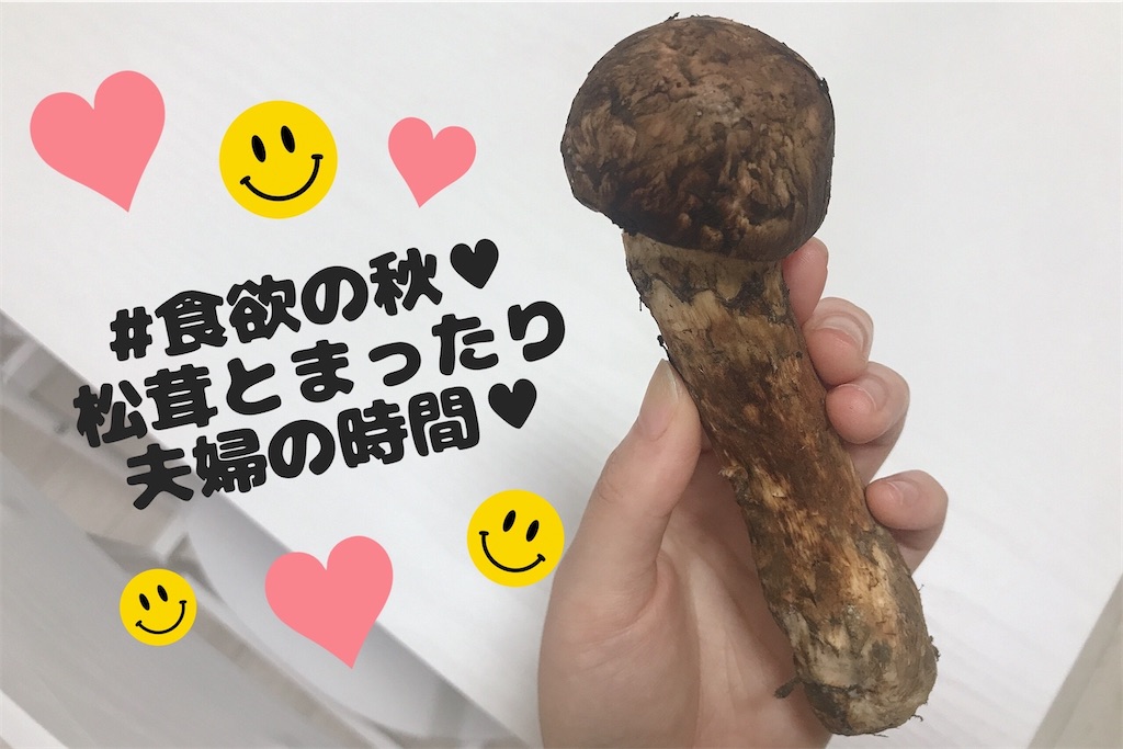 f:id:coden:20210927152827j:image f:id:coden:20210927152827j:image