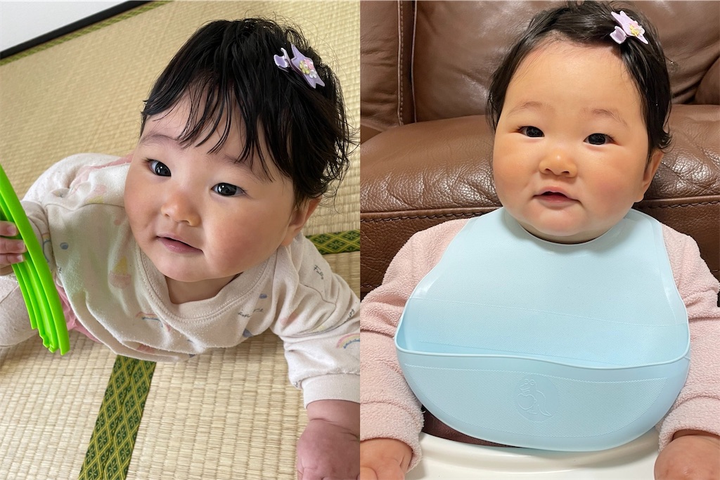 f:id:coden:20220420192809j:image f:id:coden:20220420192809j:image