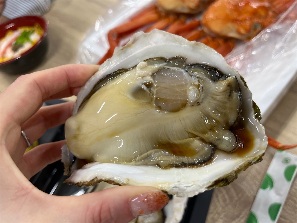 f:id:coden:20220505080211j:image f:id:coden:20220505080211j:image