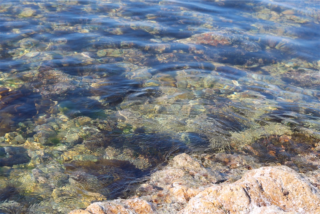 f:id:coden:20220505082355j:image f:id:coden:20220505082355j:image