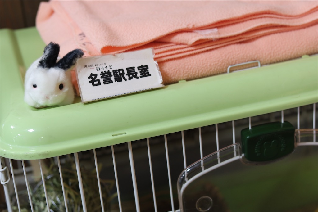 f:id:coden:20220505145314j:image f:id:coden:20220505145314j:image