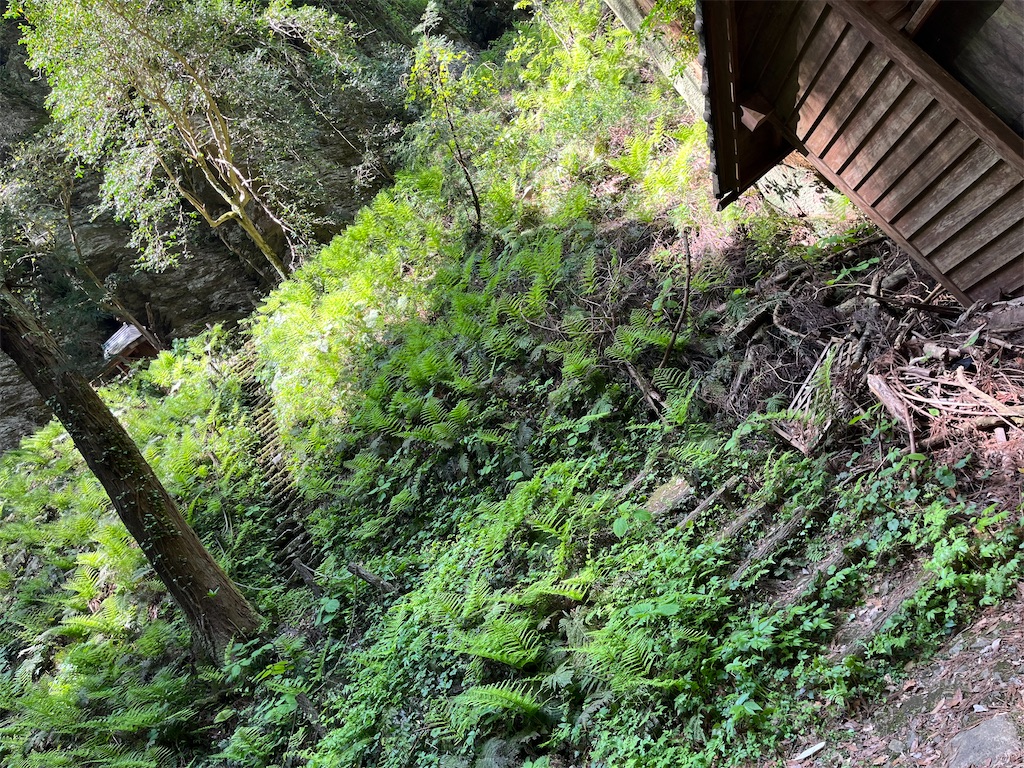 f:id:coden:20220505145450j:image f:id:coden:20220505145450j:image