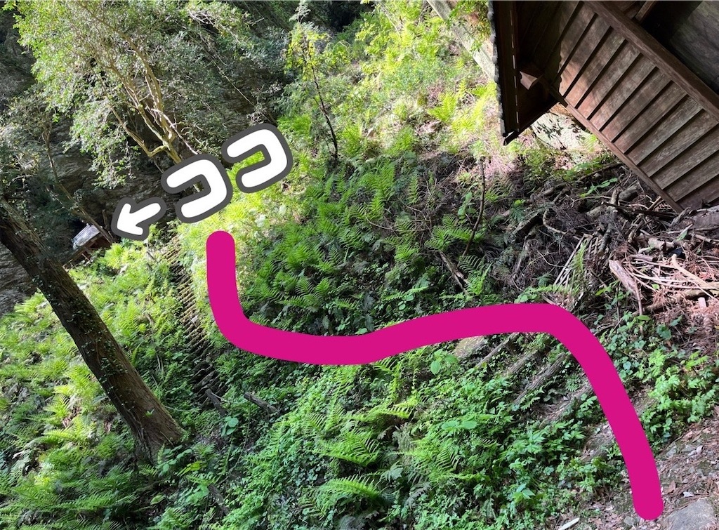 f:id:coden:20220511185859j:image f:id:coden:20220511185859j:image