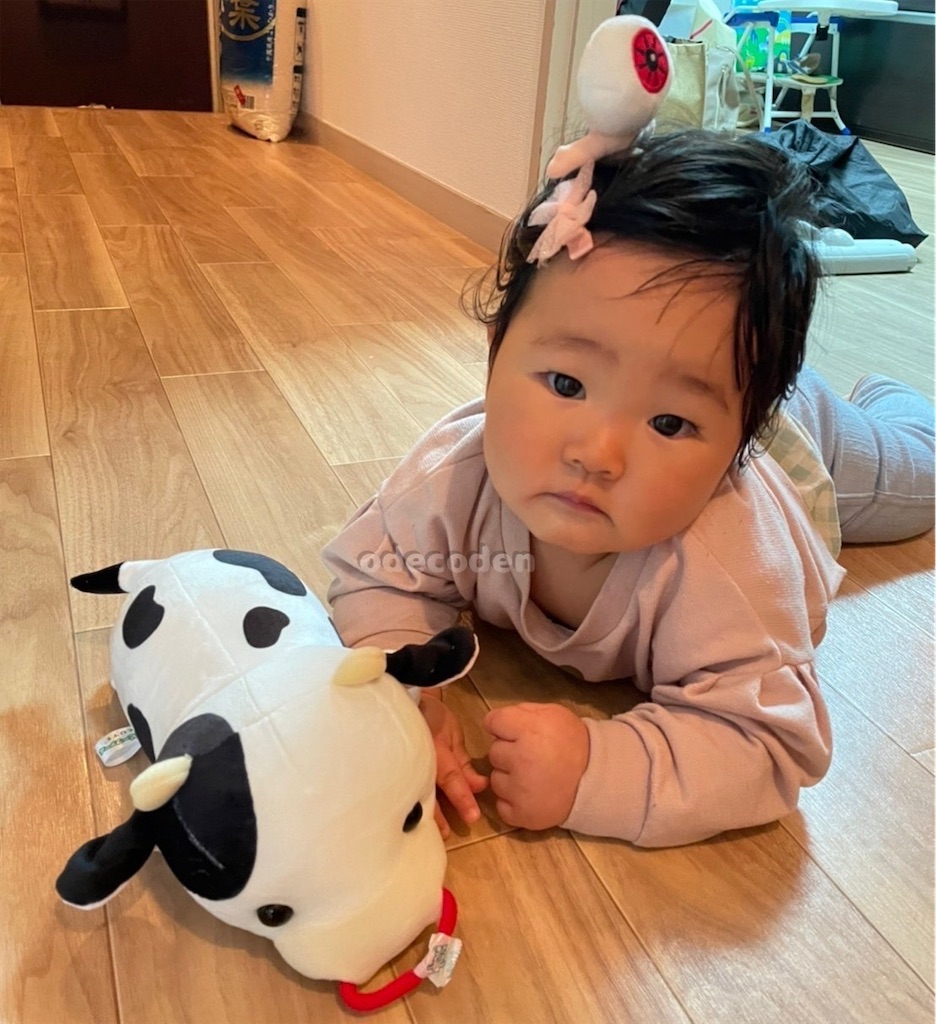 f:id:coden:20220512193717j:image f:id:coden:20220512193717j:image