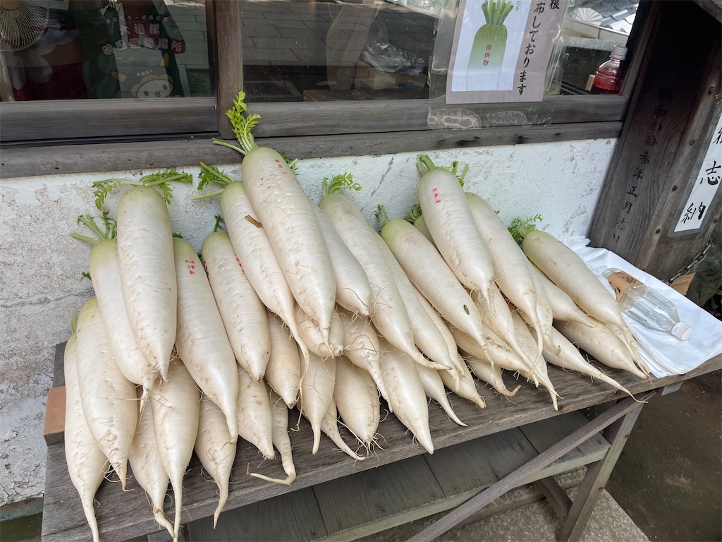 f:id:coden:20220816165120j:image