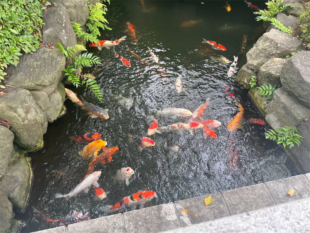 f:id:coden:20220816170003j:image