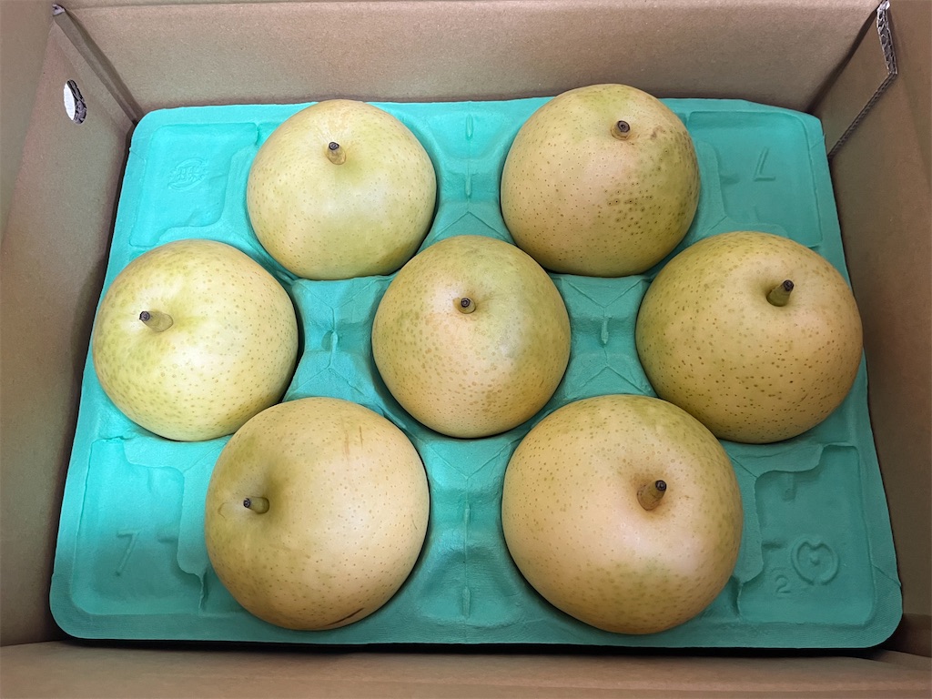 f:id:coden:20220831162047j:image