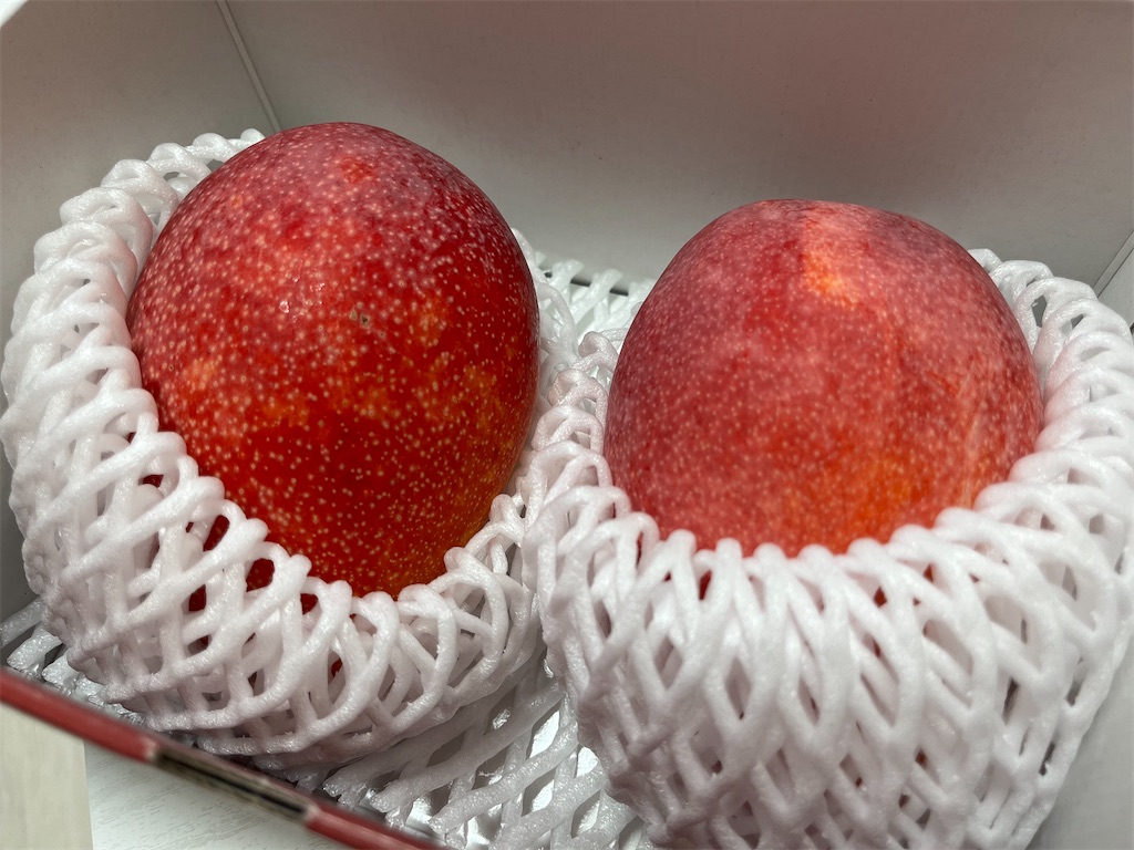 f:id:coden:20220831162050j:image