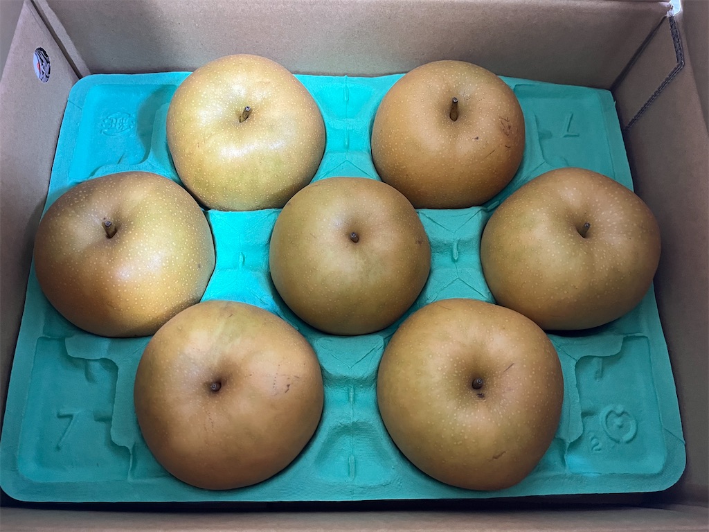 f:id:coden:20220831162108j:image