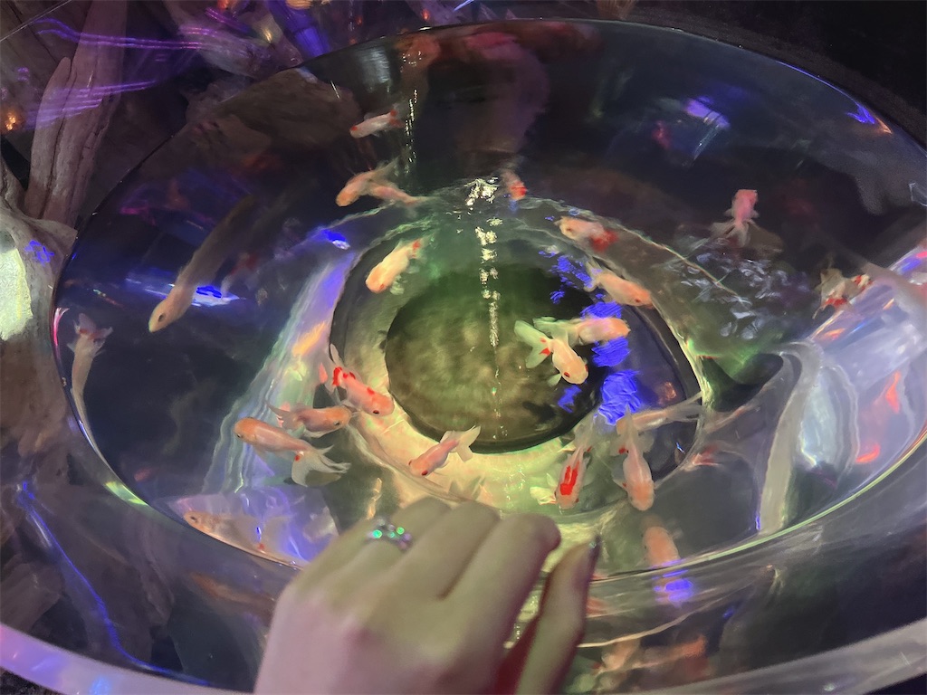 f:id:coden:20220914163721j:image