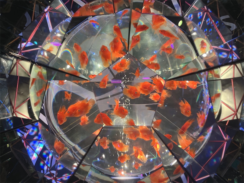 f:id:coden:20220914163724j:image