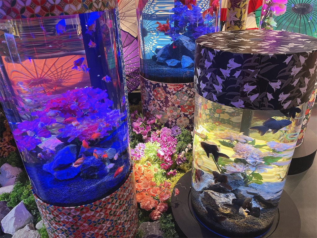 f:id:coden:20220914163730j:image