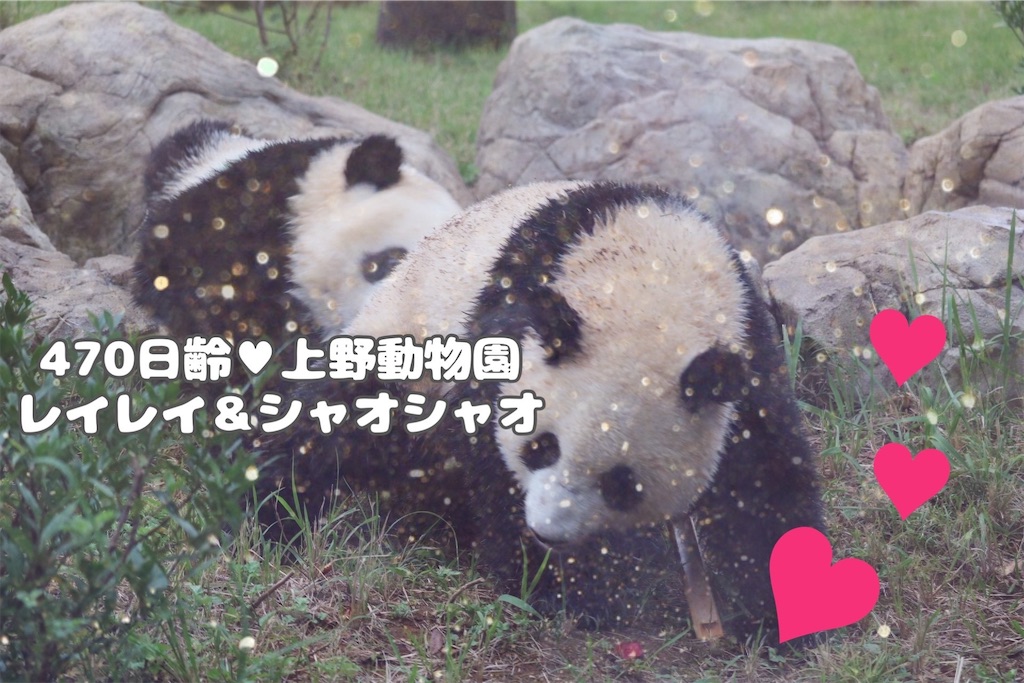 f:id:coden:20221005181625j:image f:id:coden:20221005181625j:image